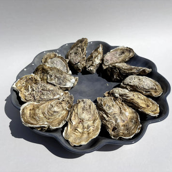 Assiette à huîtres