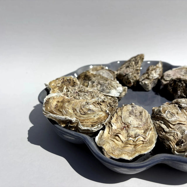 Assiette à huîtres